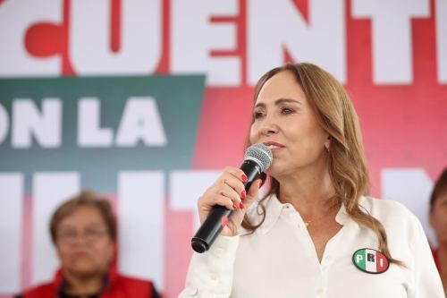 Reforma electoral de Morena es un distractor para callar a la oposición: PRI